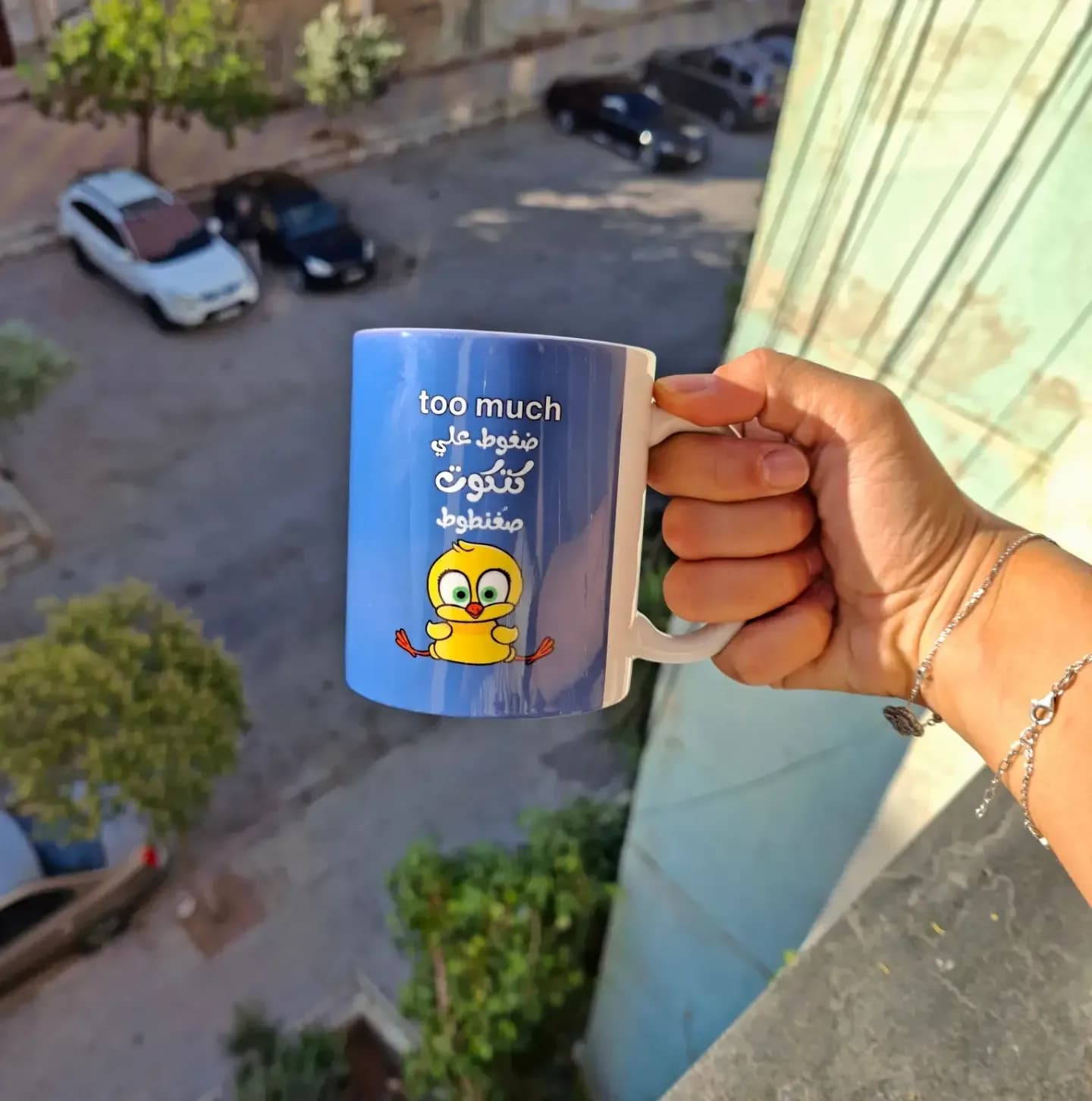 ماغ كتكوت